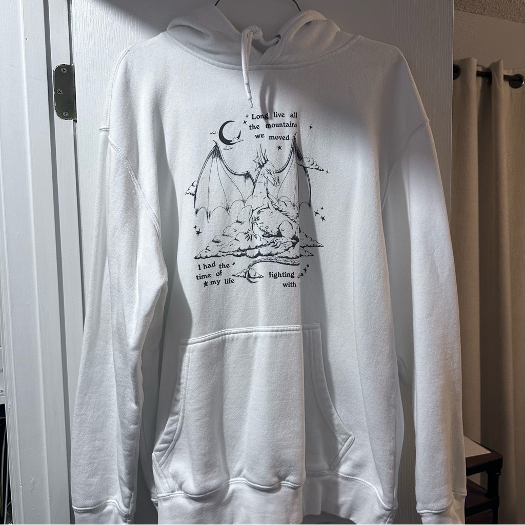 Fighting Dragons With You Hoodie